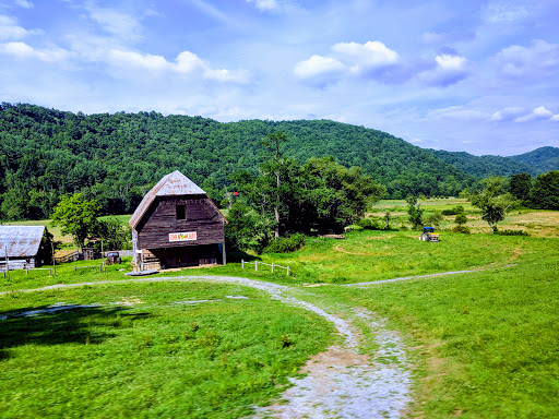 National Forest «Pisgah National Forest», reviews and photos, 1600 Pisgah Highway, Nebo, NC 28761, USA