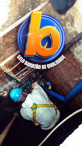 Logo da empresa - Baratão.eco