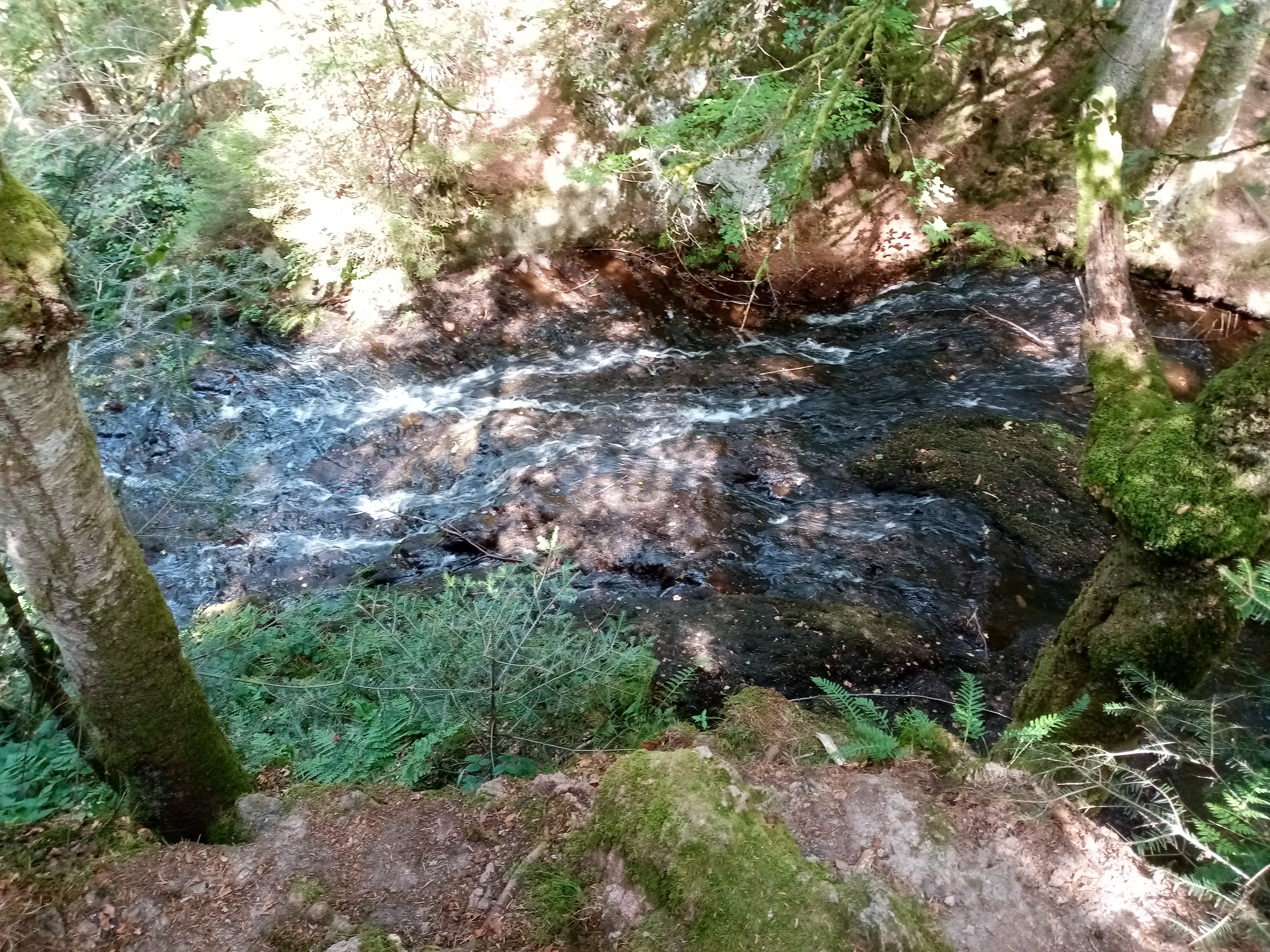 Photo n° 5 de l'avis de Jerome.a fait le 27/08/2020 à 15:00