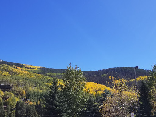 Grocery Store «City Market», reviews and photos, 2109 N Frontage Rd W, Vail, CO 81657, USA