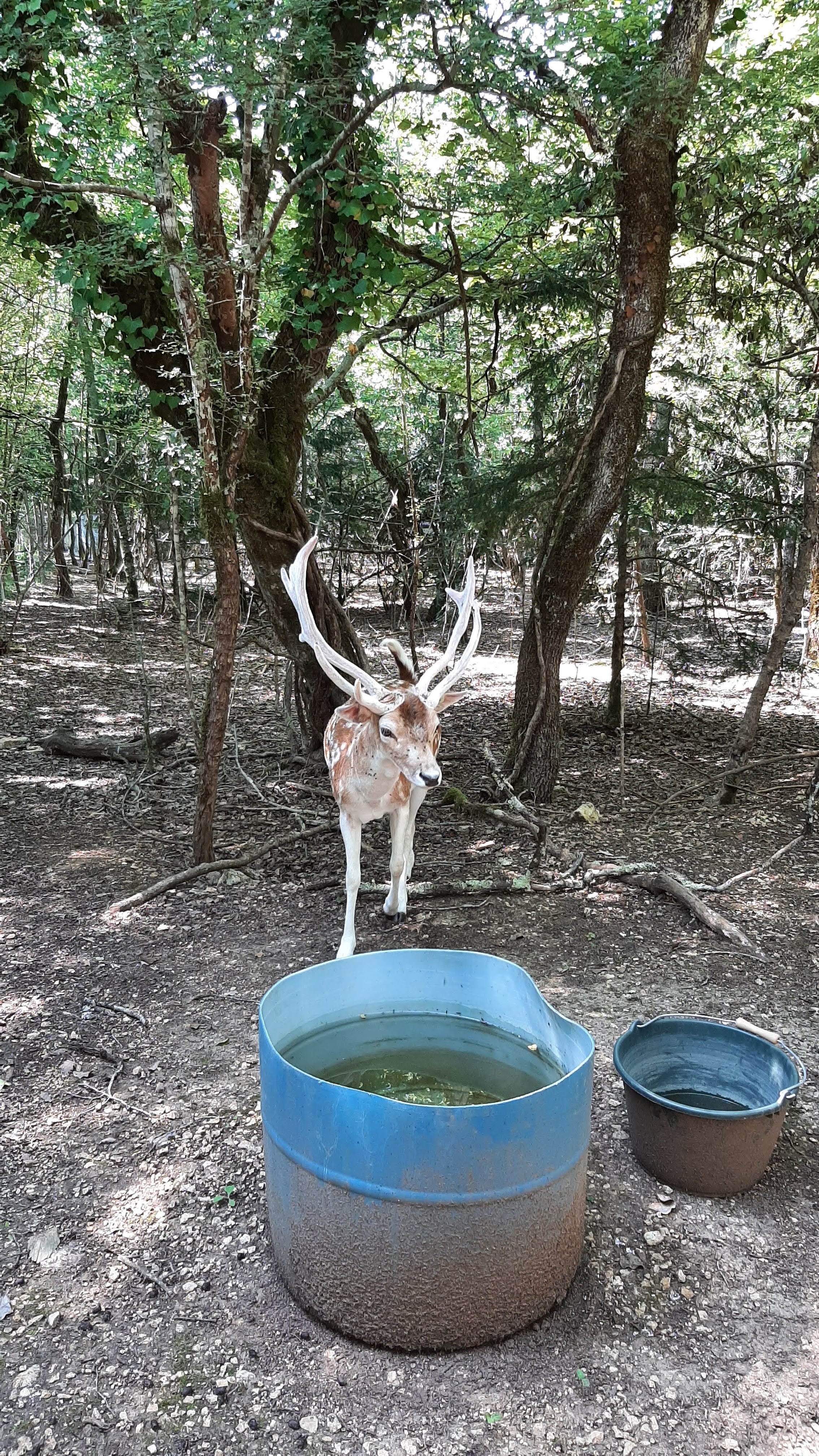 Photo n° 2 de l'avis de Max. fait le 10/08/2021 à 14:29
