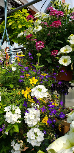 Pet Supply Store «Agway of Middlefield», reviews and photos, 147 Meriden Rd, Middlefield, CT 06455, USA