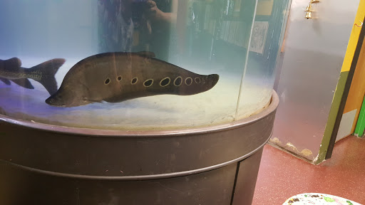 Tattoo Shop «Jinx Proof Tattoo Emporium», reviews and photos, 735 W Walnut St, Johnson City, TN 37604, USA