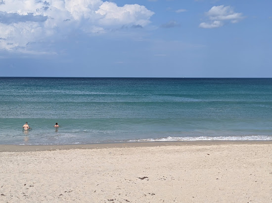 Dollman Park beach