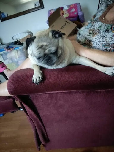 Department Store «Walmart Supercenter», reviews and photos, 6711 Alexandria Pike, Alexandria, KY 41001, USA