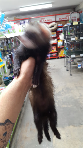 Pet Supply Store «Coral Reef», reviews and photos, 625 W Agency Rd, West Burlington, IA 52655, USA