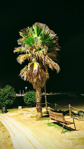 Club Nàutic Vilassar de Mar en Vilassar de Mar