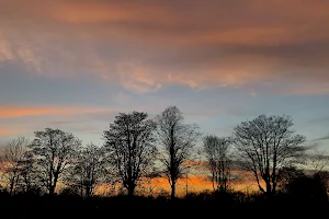 Warlingham School Common image