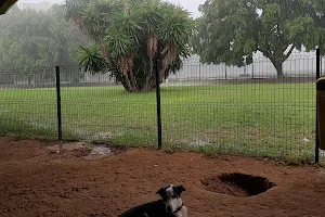 Agility Dog Park image