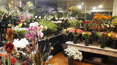Tropaz Fleurs, Artisan Fleuriste à Albi à Albi