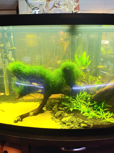 Pet Store «Animal Instincts Aquarium and Pet Center», reviews and photos, 811 Plymouth Ave, Fall River, MA 02721, USA