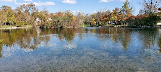 Manlius Swan Pond