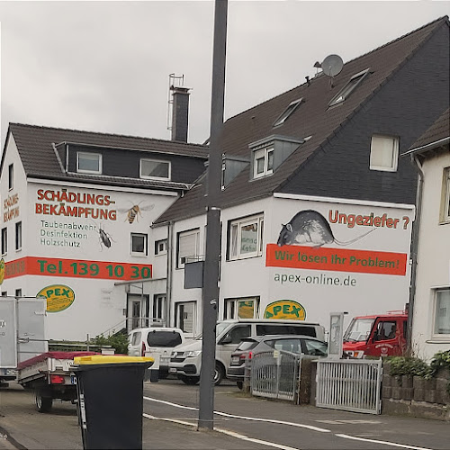 Rezensionen über APEX Schädlingsbekämpfung Köln in Martigny - Andere