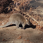 Photo n°2 de l'avis de Cathleen.e fait le 22/09/2019 à 20:59 sur le  Gasthof & Pension Zum Alten Forsthaus à Bad Lobenstein