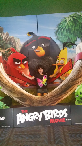 Movie Theater «AMC Lee Branch 15», reviews and photos, 801 Doug Baker Blvd, Birmingham, AL 35242, USA