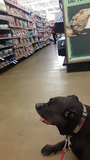 Pet Supply Store «Pet Supplies Plus», reviews and photos, 10 Glenridge Rd #3, Glenville, NY 12302, USA