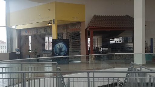 Shopping Mall «Center City Mall», reviews and photos, 301 Main St, Paterson, NJ 07505, USA