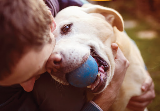 Green Whiskers Earth-Friendly Mobile Dog Grooming