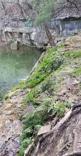 Park «Wild Basin Wilderness Preserve», reviews and photos, 805 N Capital of Texas Hwy, Austin, TX 78746, USA