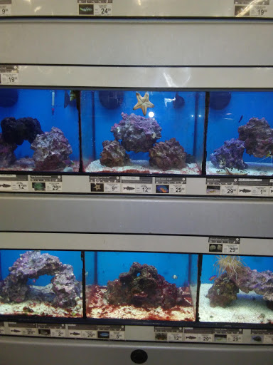 Pet Supply Store «Petco Animal Supplies», reviews and photos, 28400 Dequindre Rd, Warren, MI 48092, USA