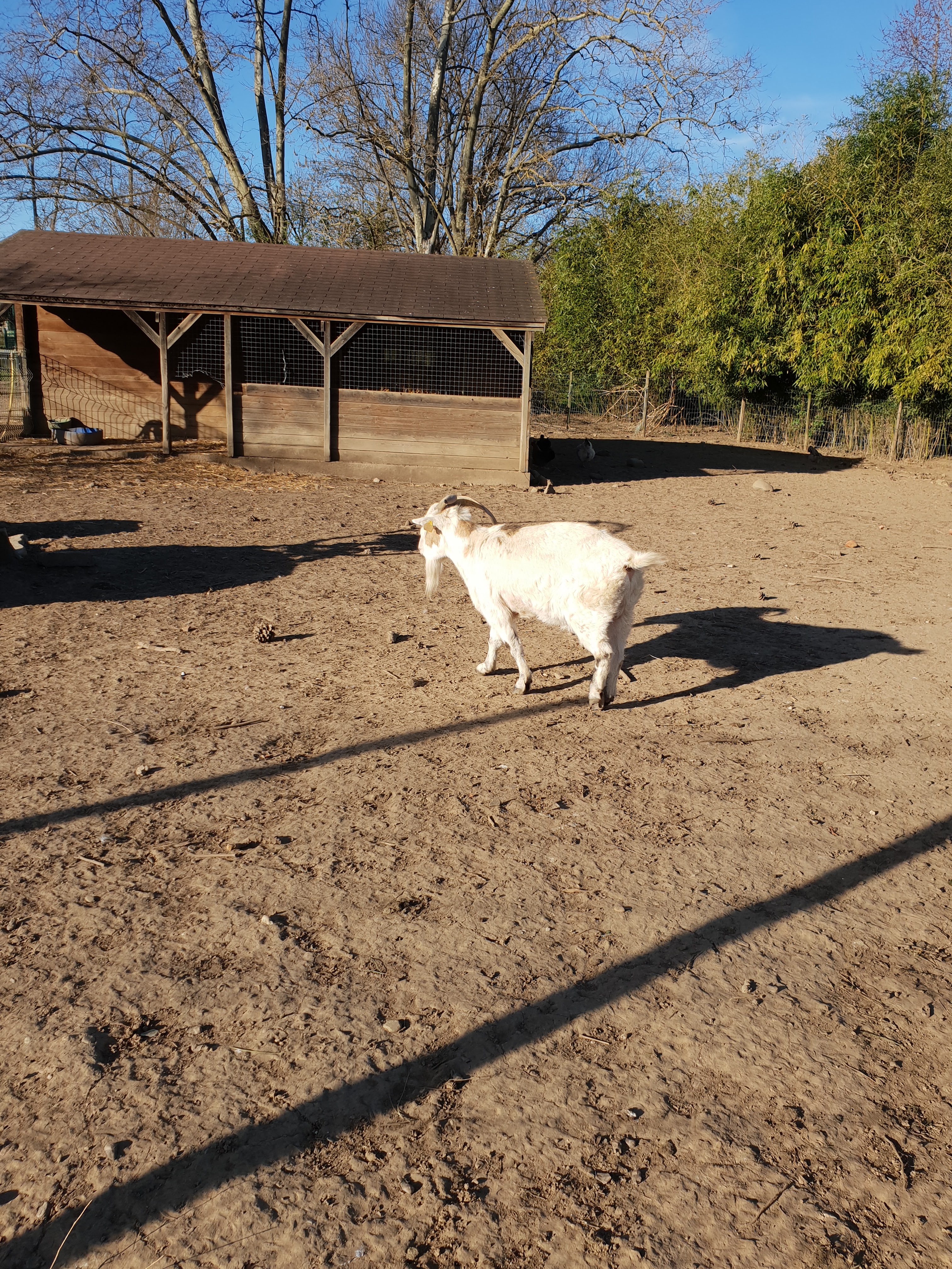 Photo n° 2 de l'avis de ROSELYNE.u fait le 09/03/2019 à 09:17