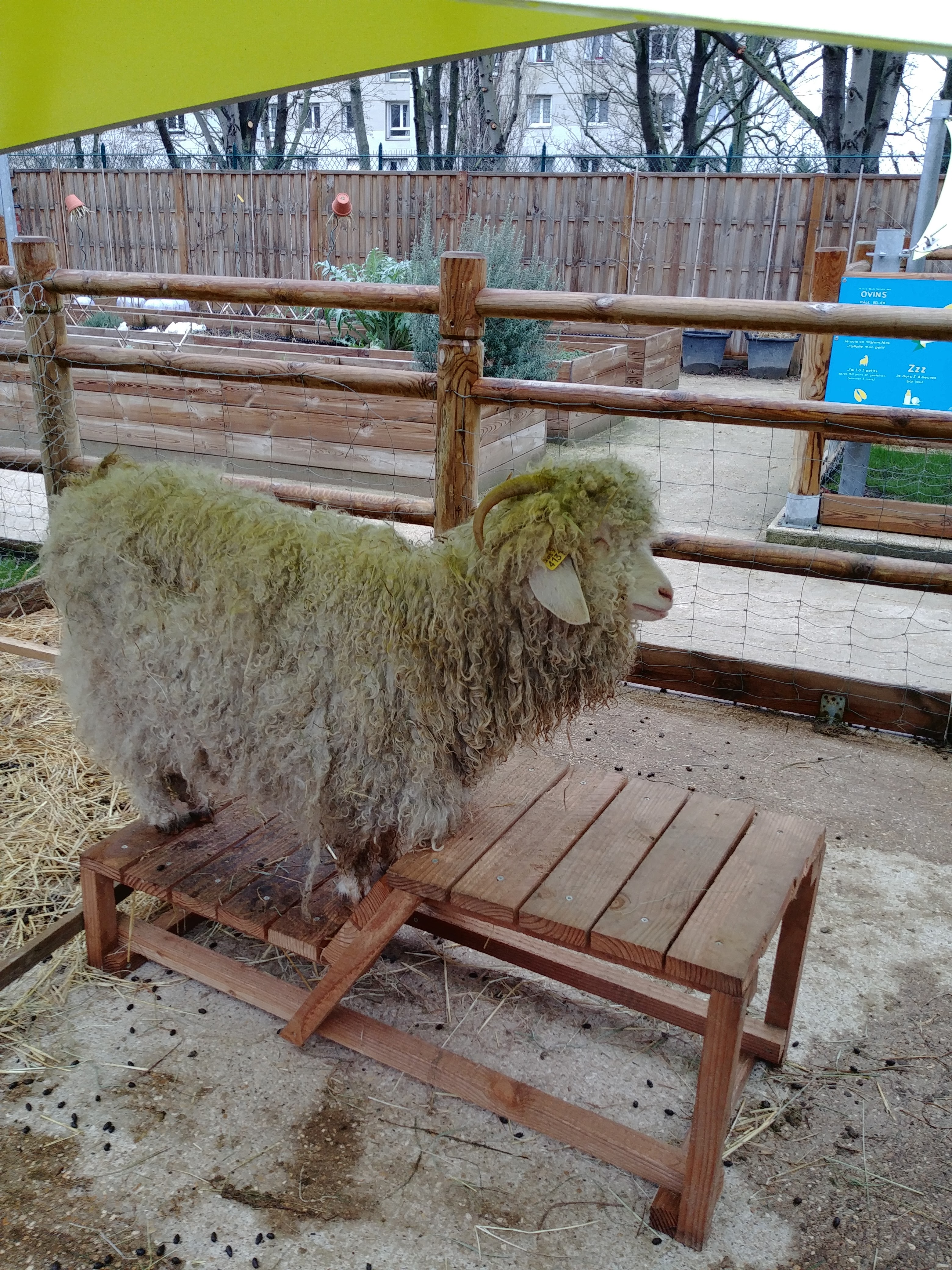 Photo n° 3 de l'avis de Mickaël. fait le 21/01/2019 à 19:00