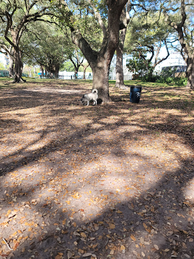 American Restaurant «Upper Eastside Farmers Market», reviews and photos, 6599 Biscayne Blvd, Miami, FL 33138, USA