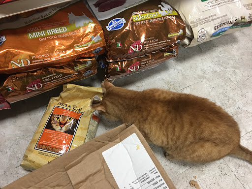 Pet Supply Store «NYCPet.com», reviews and photos, 464 Myrtle Ave, Brooklyn, NY 11205, USA