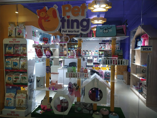 Petting Pet Market