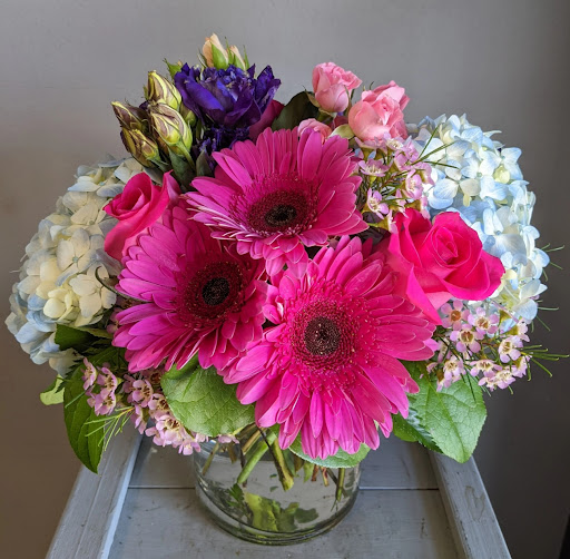 The Dizzy Daisy image
