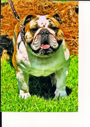 Electrician «Commercial Electrical Services», reviews and photos, 138 Chappell Rd, Dawsonville, GA 30534, USA