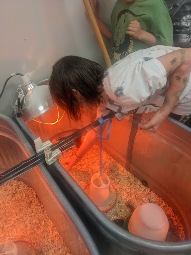 Pet Supply Store «D&L AgMart - McKinney», reviews and photos, 210 W University Dr d, McKinney, TX 75069, USA