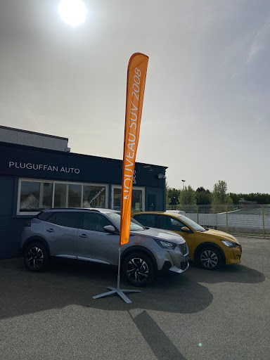 Photo 1 - PEUGEOT - PLUGUFFAN AUTO