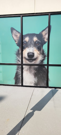 Pet Supply Store «Pet Supplies Plus», reviews and photos, 209 Towne Dr, Elizabethtown, KY 42701, USA