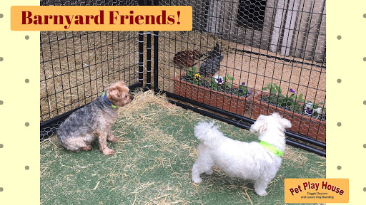 Pet Store «Pet Play House», reviews and photos, 2403 E 4th St, Reno, NV 89512, USA