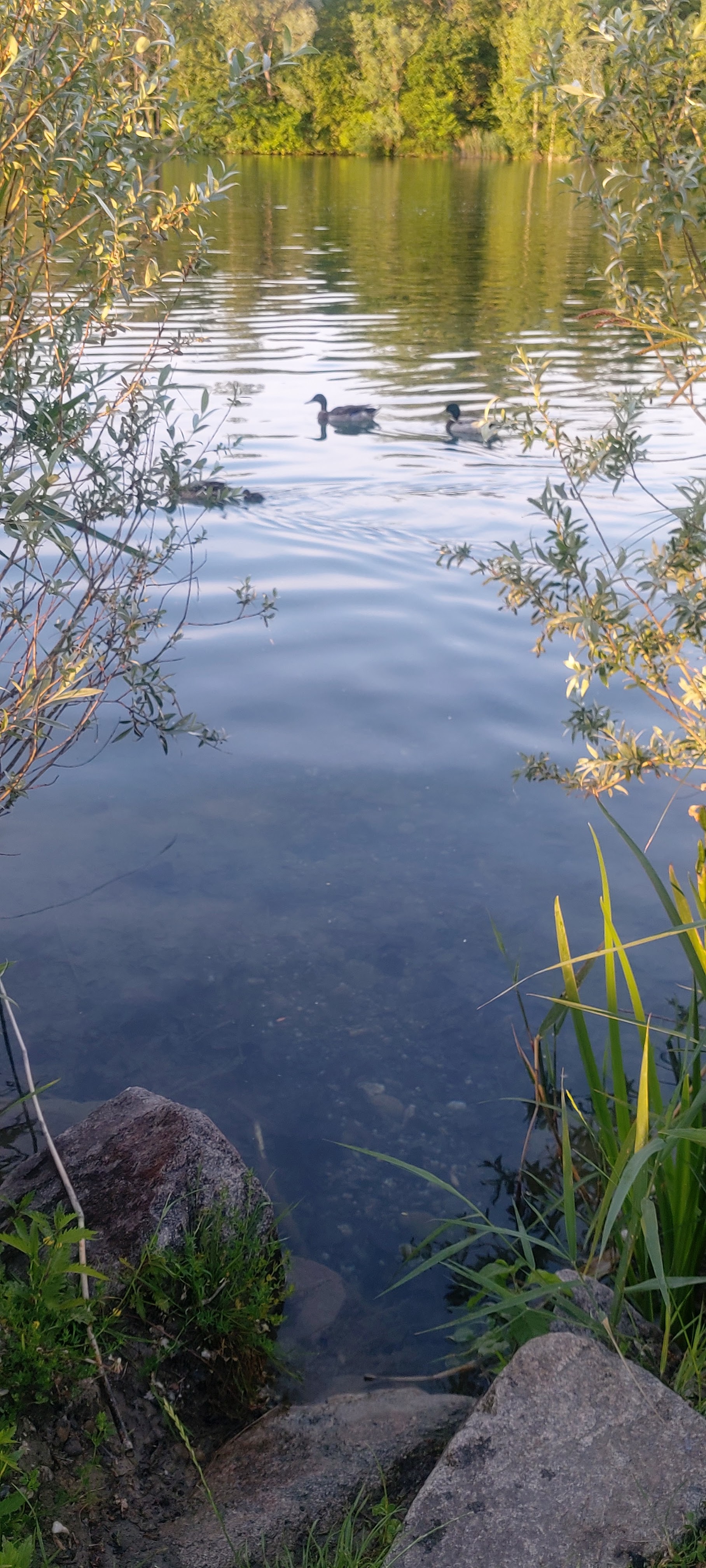 Photo n° 2 de l'avis de Wen.a fait le 16/06/2021 à 21:42