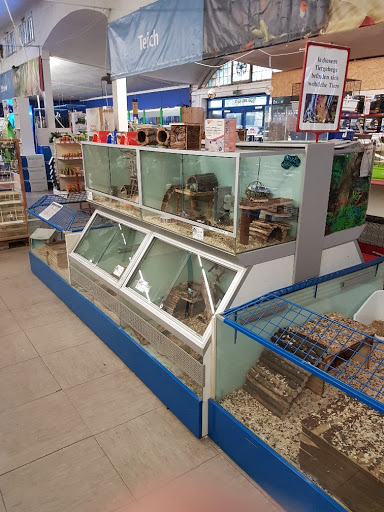Zoo & Co. Ahlen unter Ahlen, 