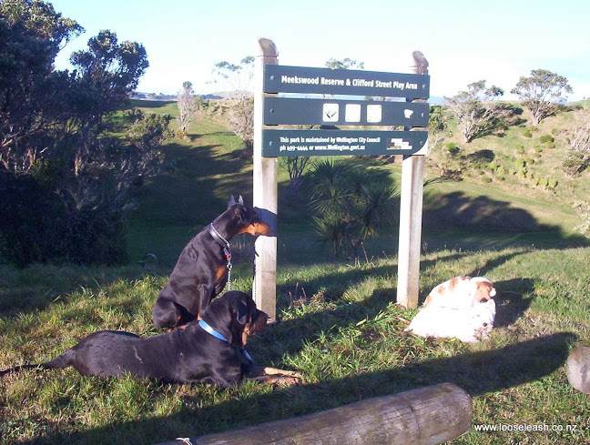 Loose Leash Dog Walking Service Newlands Johnsonville Wellington - Dog trainer