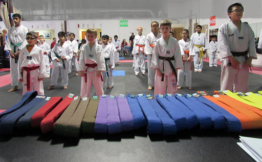 Polaris Taekwondo