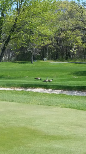 Golf Club «Bunker Hills Golf Club», reviews and photos, 12800 Bunker Prairie Rd NW, Coon Rapids, MN 55448, USA