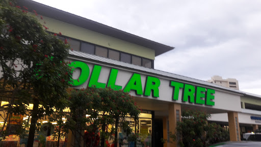 Dollar Store «Dollar Tree», reviews and photos, 4745 N Ocean Dr, Sea Ranch Lakes, FL 33308, USA