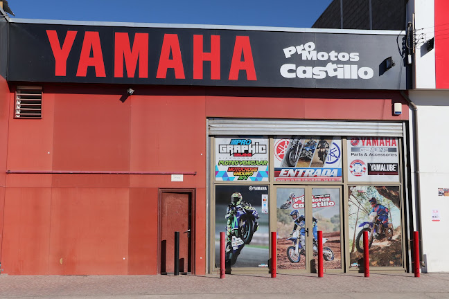 Opiniones de Pro Motos Castillo en Calama - Tienda de motocicletas