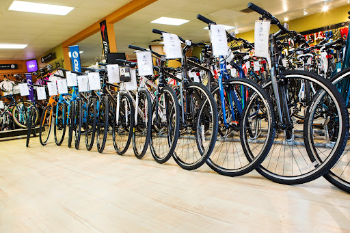 Bicycle Store «Full Circle Cycle», reviews and photos, 2445 S Hiawassee Rd, Orlando, FL 32835, USA
