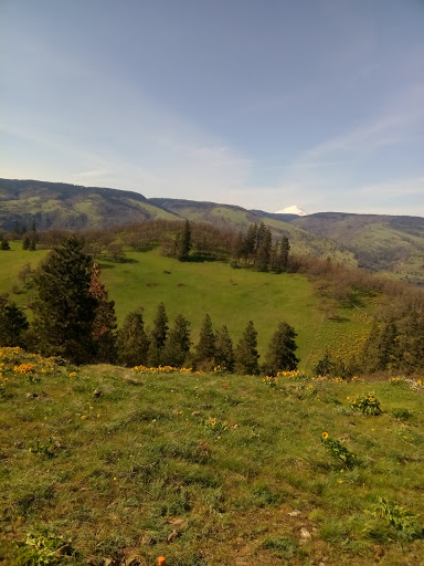 Gym «Pacific Athletic Club», reviews and photos, 320 A St, Columbia City, OR 97018, USA