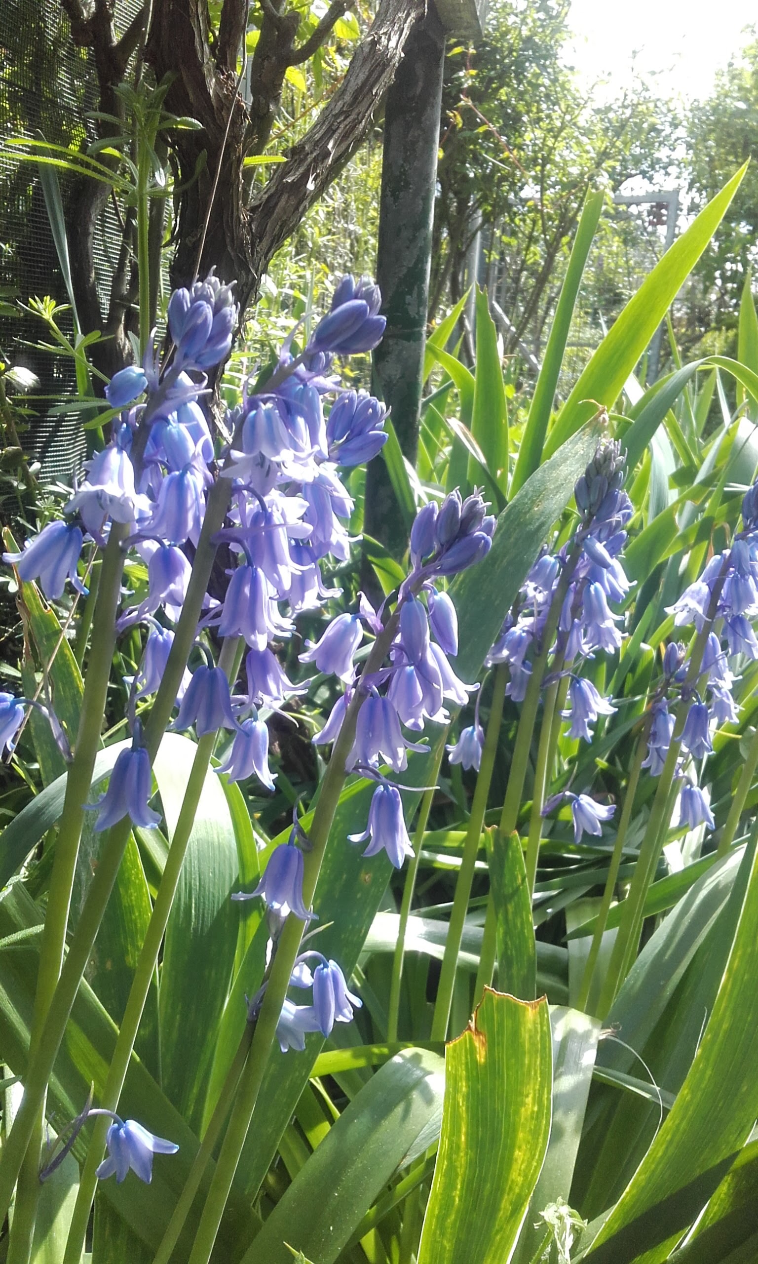 Photo n° 3 de l'avis de Olivier.i fait le 04/05/2017 à 16:04