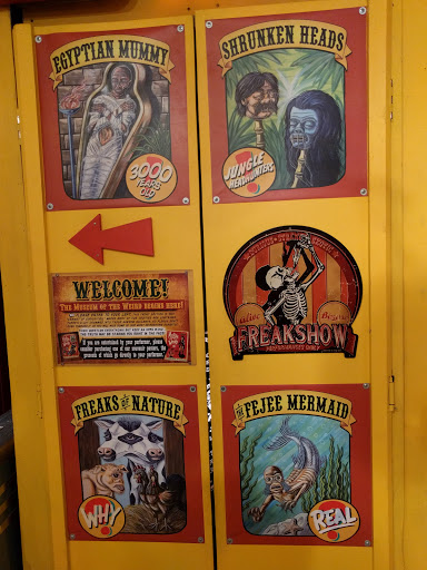 Gift Shop «Lucky Lizard Curios & Gifts», reviews and photos, 412 E 6th St, Austin, TX 78701, USA