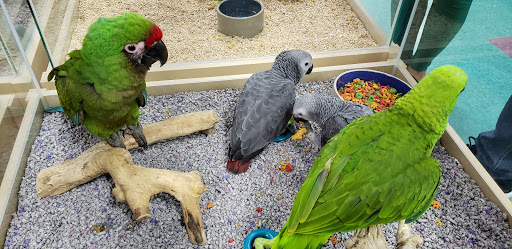 Dog Breeder «Petland Dunwoody», reviews and photos, 4733 Ashford Dunwoody Rd NE, Dunwoody, GA 30338, USA