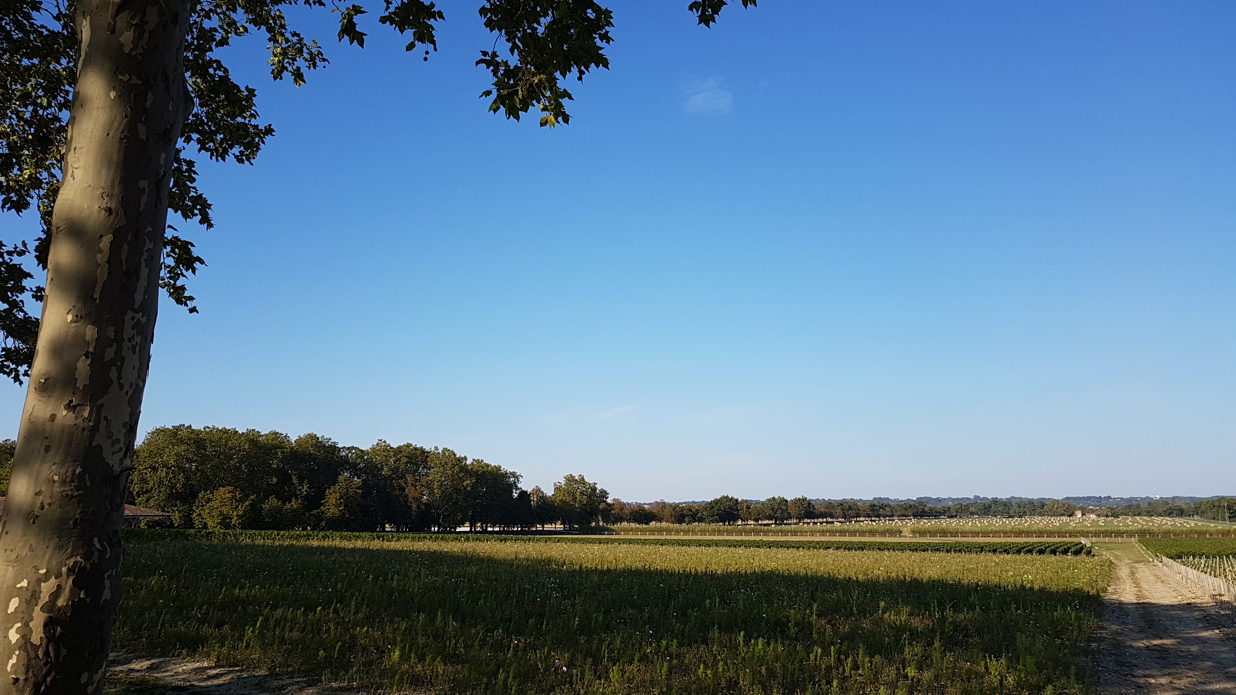 Photo n° 17 de l'avis de Gui.9 fait le 25/08/2019 à 06:23