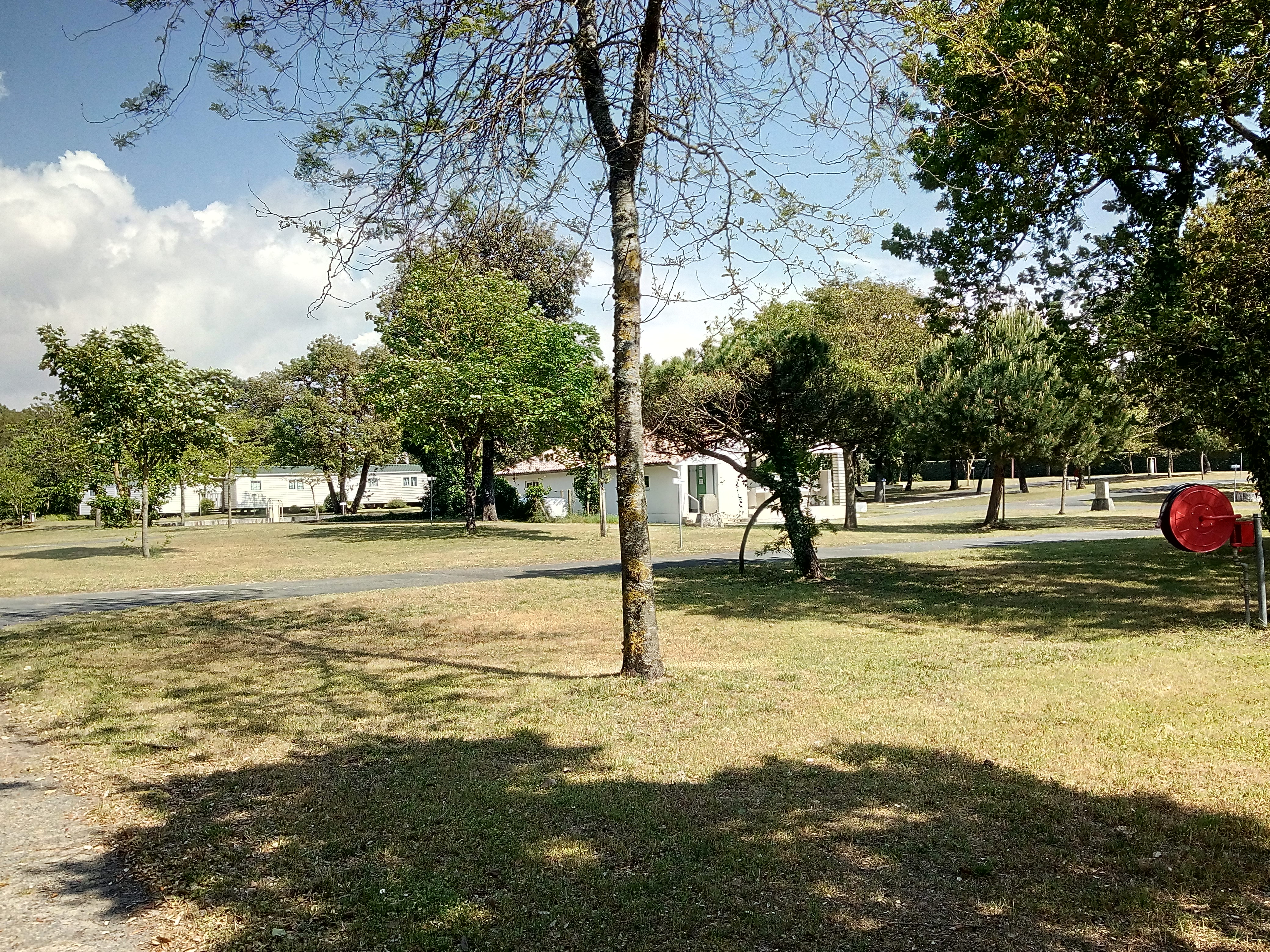 Photo n° 2 de l'avis de Jean.l fait le 19/05/2019 à 15:08