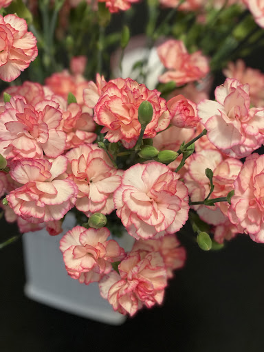 Grocery Store «Star Market», reviews and photos, 130 Granite St, Quincy, MA 02169, USA